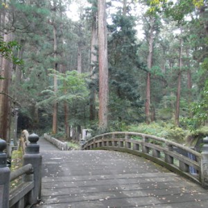 観光地の山を登る（２）【明神ヶ岳・明星ヶ岳】-  …Research General Store 高橋謙吾