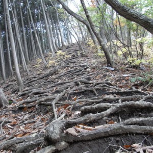 観光地の山を登る（１）【鳴虫山】-  …Research General Store 高橋謙吾