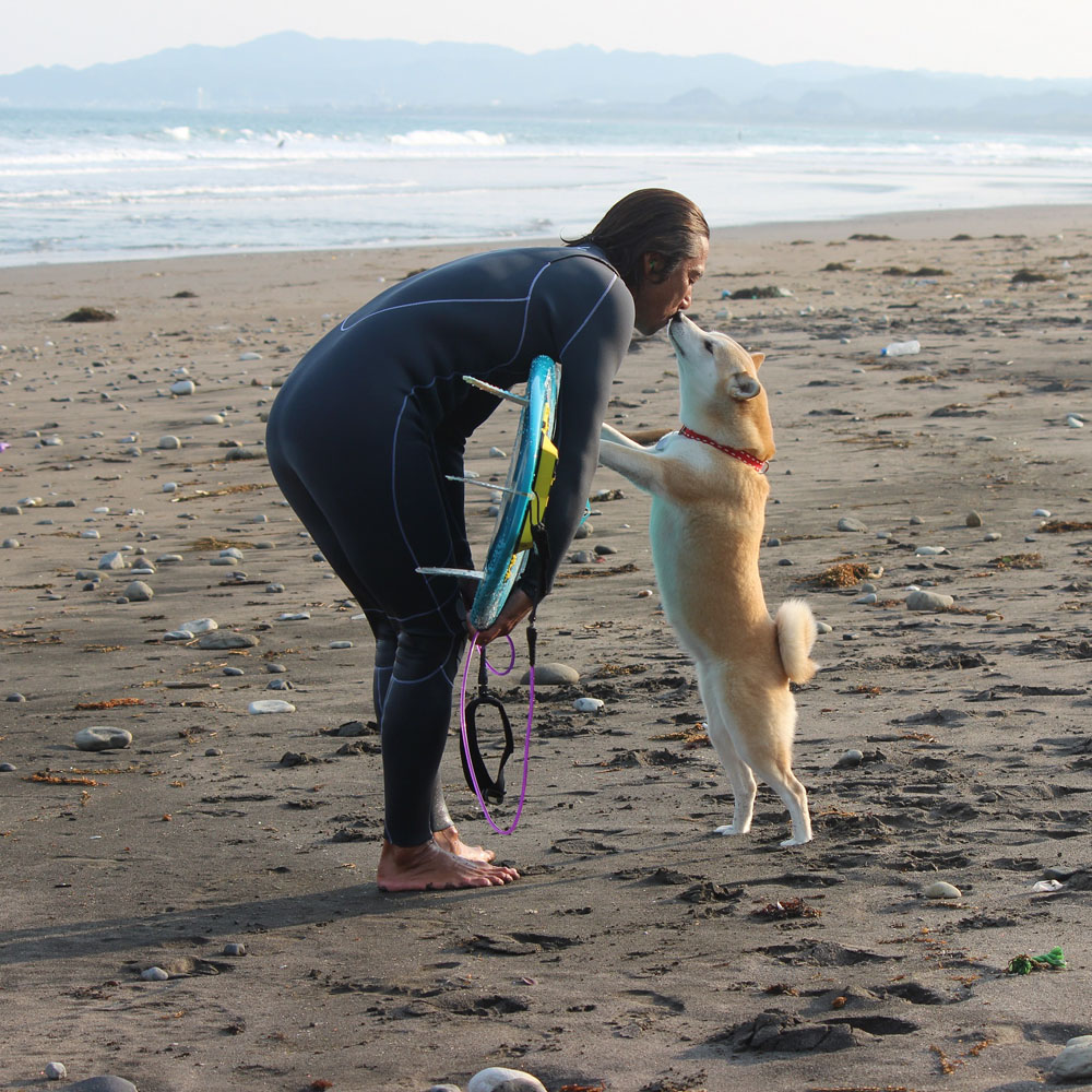 柴犬ラニと海のストーリー#02｜待っていてくれて、ありがとね！