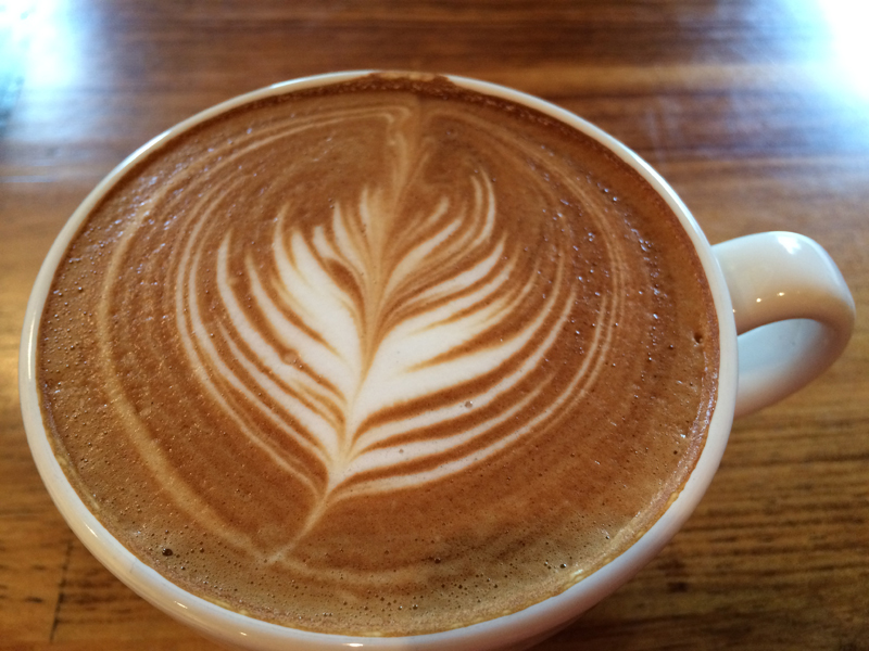 【茅ヶ崎】スペシャリティコーヒーを楽しむフクロウに出会えるカフェ