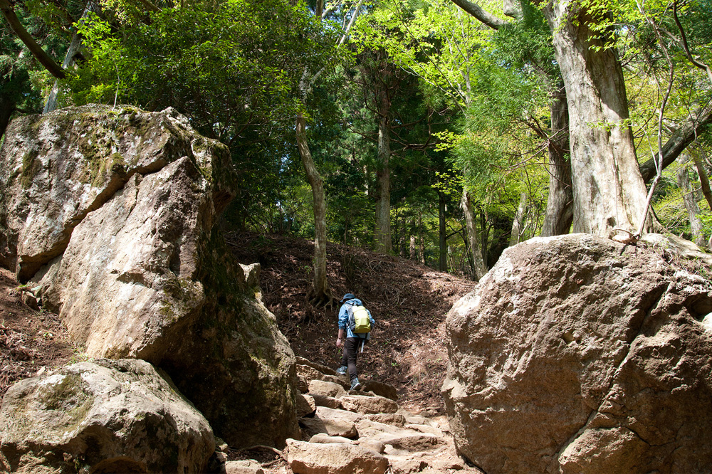 登山初級者向き！　神奈川県丹沢・大山登山のススメ