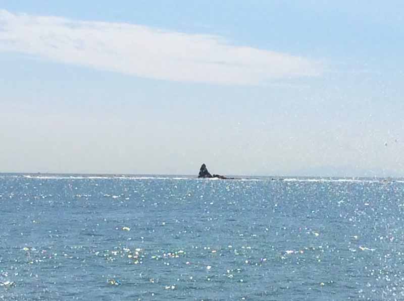 湘南の大きな空と光に会いにゆく