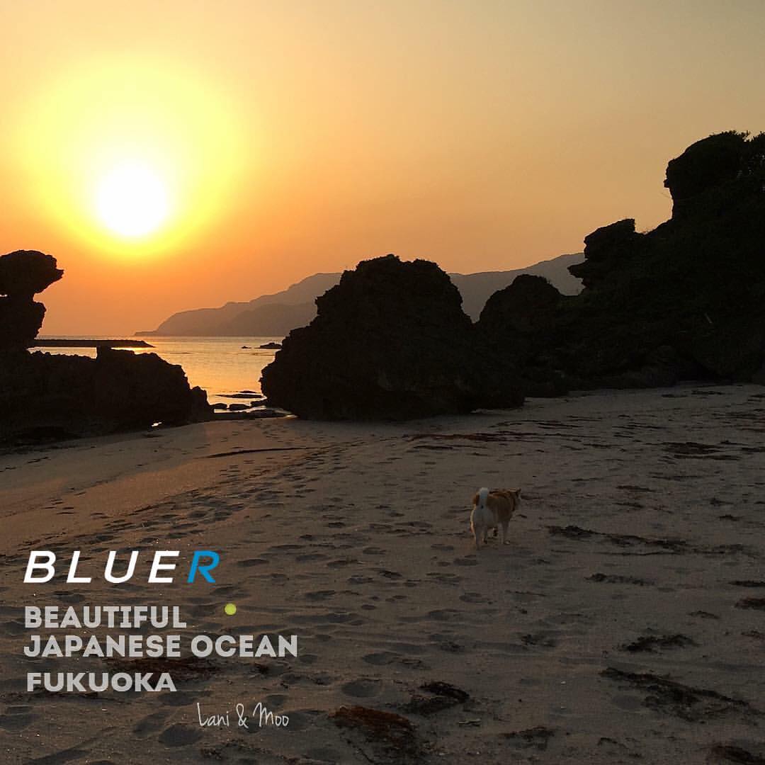 美しき日本の海ー福岡県｜BEAUTIFUL JAPANESE OCEAN.