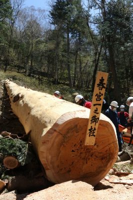 山の神。御柱祭の伝統が意味すること